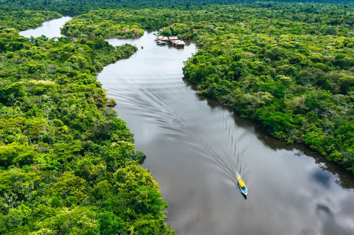 Vue aérienne de la forêt amazonienne au Pérou, en Amérique du Sud. Image de Curioso_Travel_Photography via Depositphotos.