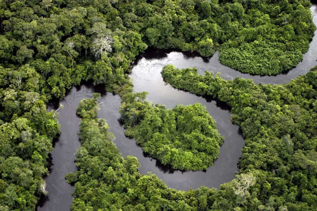 Fleuve Amazone