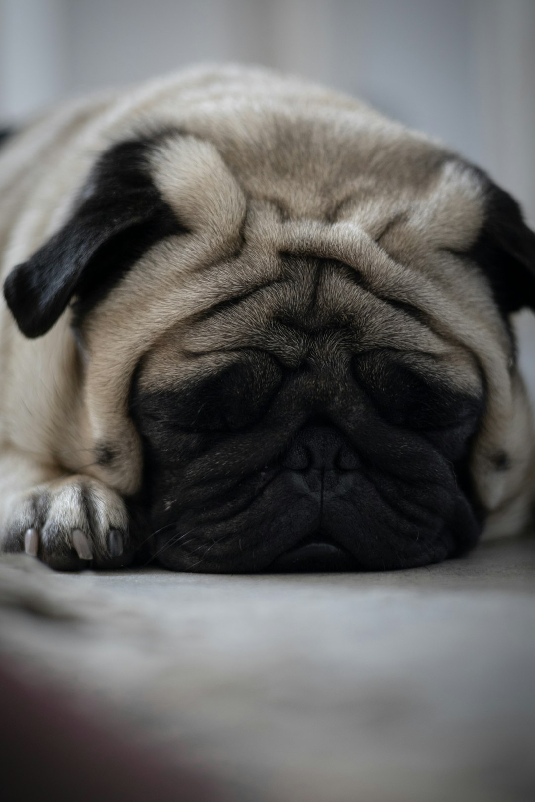 11 Sommeil excessif (crédits image : unsplash)