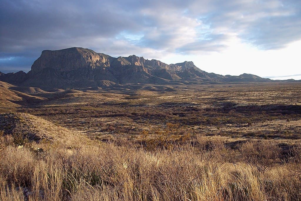 Désert de Chihuahua