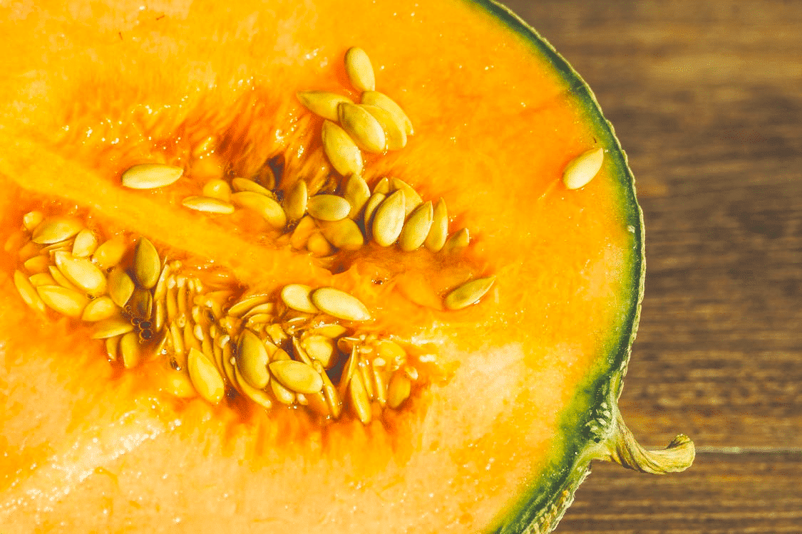 Gros plan du cantaloup.